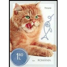 Persian Cat - Romania 2020 - 1.80
