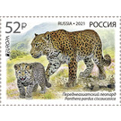 Persian Leopard (Panthera pardus ciscaucasica) - Russia 2021 - 52