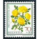 Persian Yellow Rose (Rosa foetida persiana)  - Switzerland 1977 - 70 Rappen