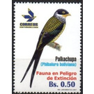 Phibalura boliviana - South America / Bolivia 2017 - 0.50