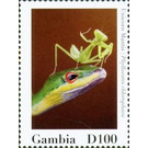 Phyllovates chlorophaea - West Africa / Gambia 2020