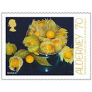 Physalis (Cape Gooseberry) - Alderney 2021 - 70