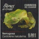 Pichincha Giant Glass Frog (Centrolene heloderma) - South America / Ecuador 2019 - 0.50