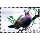 Pigeon of the Nilgiris - Caribbean / Cuba 2020