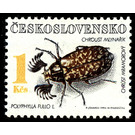 Pine Chafer (Polyphylla fullo) - Czechoslovakia 1992 - 1