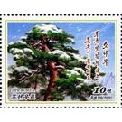 Pine Tree - North Korea 2020 - 10