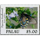 Pipevine Swallowtail (Battus philenor) - Micronesia / Palau 2020