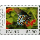 Pipevine Swallowtail (Battus philenor) - Micronesia / Palau 2020