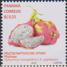Pitahaya - Central America / Panama 2019 - 0.25