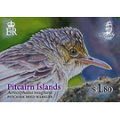 Pitcairn Islands’ Reed Warbler (Acrocephalus vaughani) - Polynesia / Pitcairn Islands 2019 - 1.80