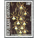 Plectrelmintus caudatus - Central Africa / Gabon 2004 - 100