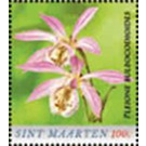 Pleione bulbocodioides - Caribbean / Sint Maarten 2020