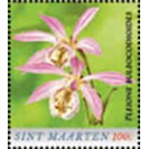 Pleione bulbocodioides - Caribbean / Sint Maarten 2020