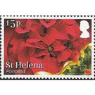 Poinsettia (Euphorbia pulcherrima) - West Africa / Saint Helena 2017 - 15