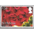 Poinsettia (Euphorbia pulcherrima) - West Africa / Saint Helena 2017 - 15