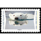 Polar Bear - France 2020