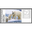 Polar Bear - Greenland 2019