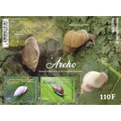 Polynesian Tree Snail (Partula nodosa) - Polynesia / French Polynesia 2020