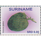 Pond Apple (Annona glabra) - South America / Suriname 2020 - 6