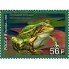 Pool Frog (Pelophylax lessonae) - Russia 2021 - 56