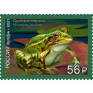 Pool Frog (Pelophylax lessonae) - Russia 2021 - 56