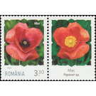 Poppy - Romania 2020 - 3.30