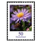 Postage stamps: flowers  - Germany / Federal Republic of Germany 2005 - 25 Euro Cent