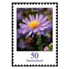 Postage stamps: flowers  - Germany / Federal Republic of Germany 2005 - 25 Euro Cent