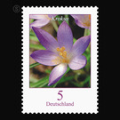 Postal stamp: flowers  - Germany / Federal Republic of Germany 2005 - 5 Euro Cent