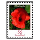 Postal stamp: flowers - Germany / Federal Republic of Germany 2005 - 55 Euro Cent