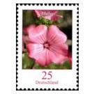 Postal stamps flowers - Germany / Federal Republic of Germany 2005