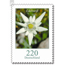Postal stamps: flowers  - Germany / Federal Republic of Germany 2006 - 220 Euro Cent