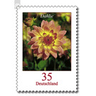 Postal stamps: flowers - Germany / Federal Republic of Germany 2006 - 35 Euro Cent