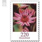 Postal stamps: flowers  - Germany / Federal Republic of Germany 2018 - 220 Euro Cent