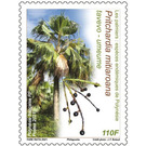 Pritchardia mitiaroana - Polynesia / French Polynesia 2021 - 110