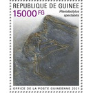Pterodactylus spectabilis - West Africa / Guinea 2021