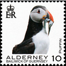 Puffin - Alderney 2020 - 10