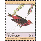 Purple Finch (Haemorhous purpureus) - Polynesia / Tuvalu, Niutao 1985