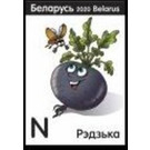 Purple Radish - Belarus 2020