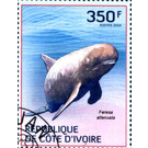 Pygmy Killer Whale (Feresa attenuata) - West Africa / Ivory Coast 2014 - 350