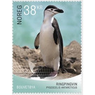Pygoscelis antarcticus (Chinstrap penguin) - Norway 2018 - 38