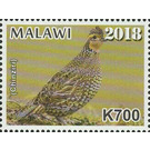 Quail (Chinziri) - East Africa / Malawi 2019 - 700