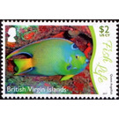 Queen Angelfish - Caribbean / British Virgin Islands 2017 - 2