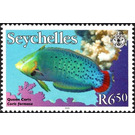 Queen Coris (Coris formosa) - East Africa / Seychelles 2010 - 6.50