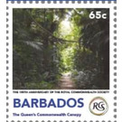 Queen's Commonwealth Canopy - Caribbean / Barbados 2018 - 65