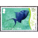 Queen Triggerfish - Caribbean / British Virgin Islands 2017 - 35