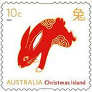 Rabbit - Christmas Island 2021 - 10