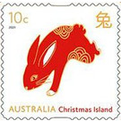 Rabbit - Christmas Island 2021 - 10