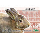 Rabbit (Oryctolagus cuniculus domesticus) - North Korea 2020 - 70