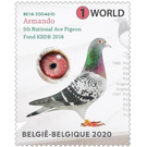 Racing Pigeon Armando - Belgium 2020 - 1